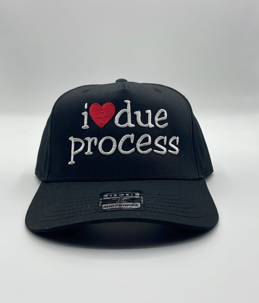 I Love Due Process Hat